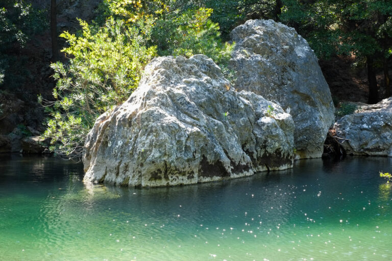 LLUMKAZDAGLARI+21765324