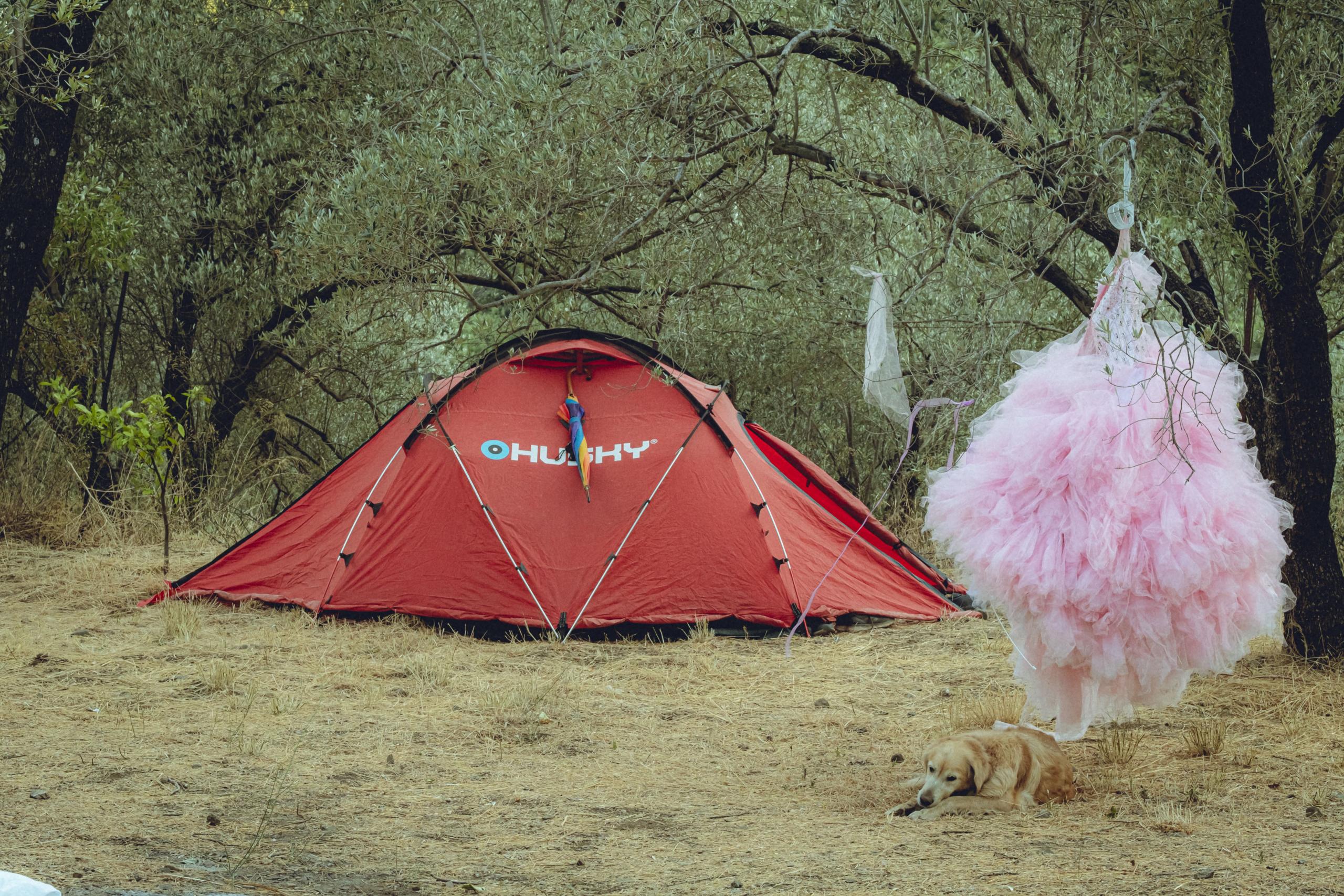 llum çadır DSCF8899