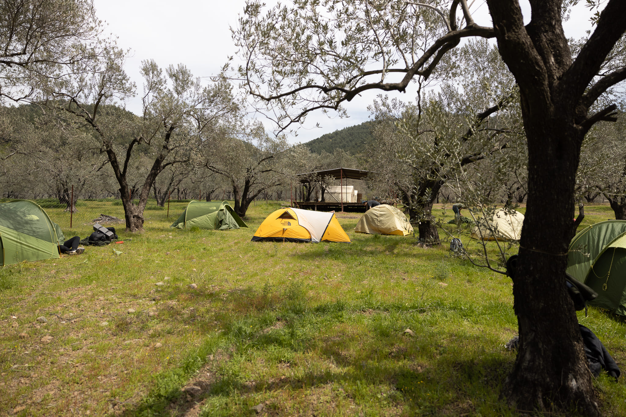 llum çadır _D7A9018