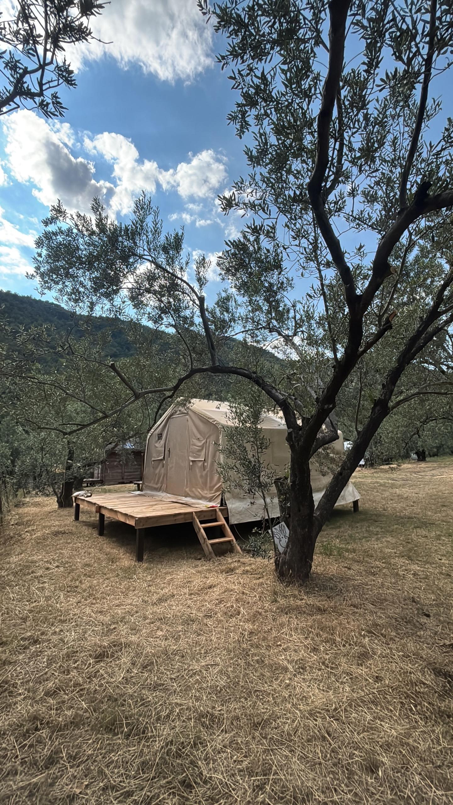 llumglamping18FB7B19-1AF1-4553-9A38-60CB07A37FE9