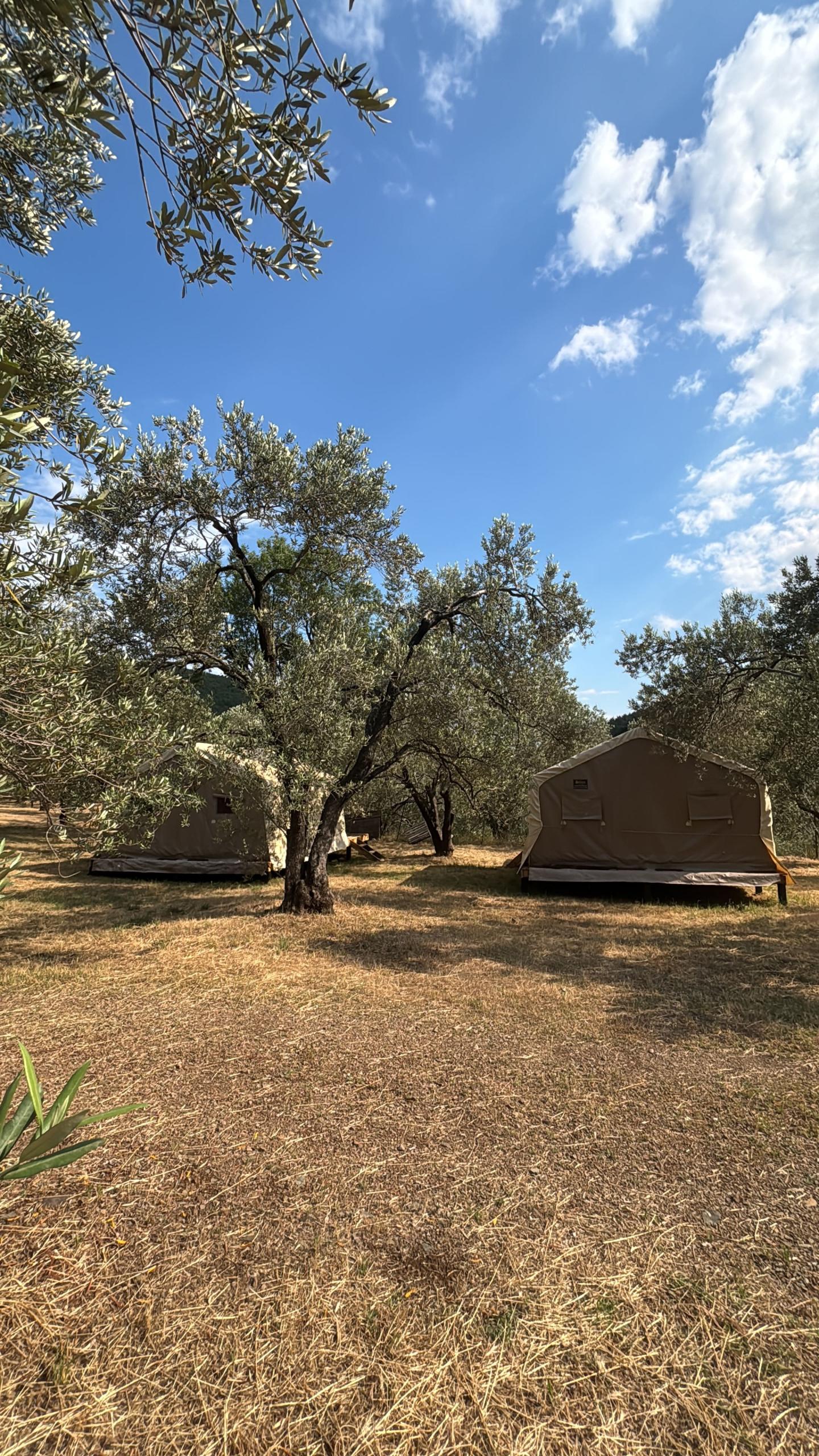 llumglamping577EC9F1-EBF8-445E-9823-7D6CD390926A