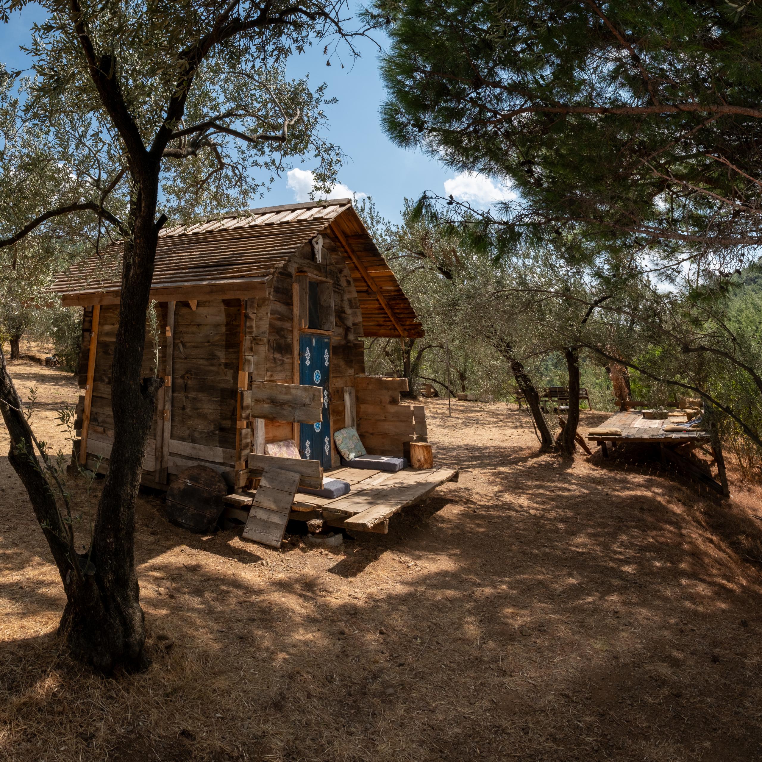 ORMANKABİNBUNGALOVLLUMDSCF4585-Pano