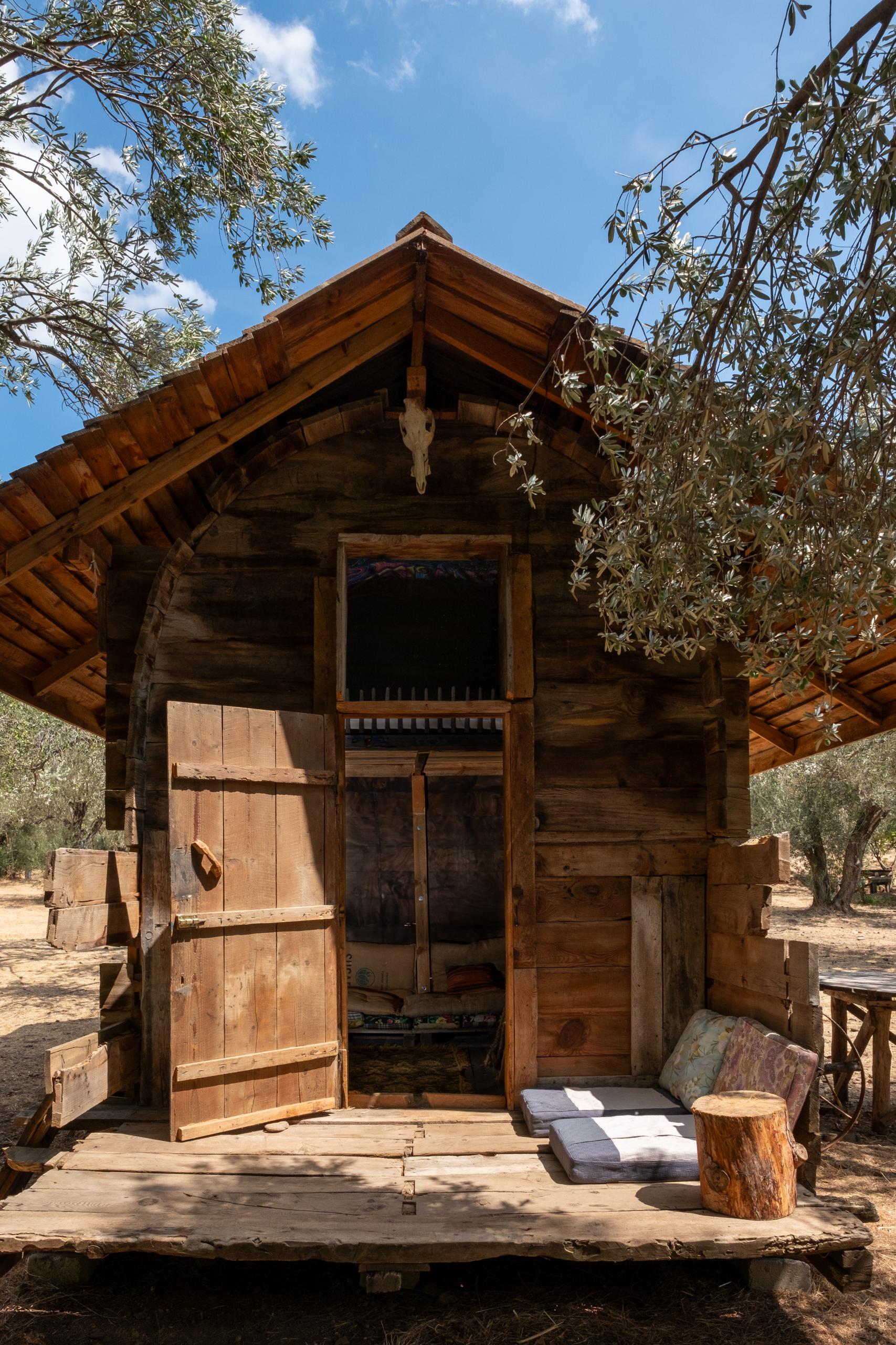 ORMANKABİNBUNGALOVLLUMDSCF4593