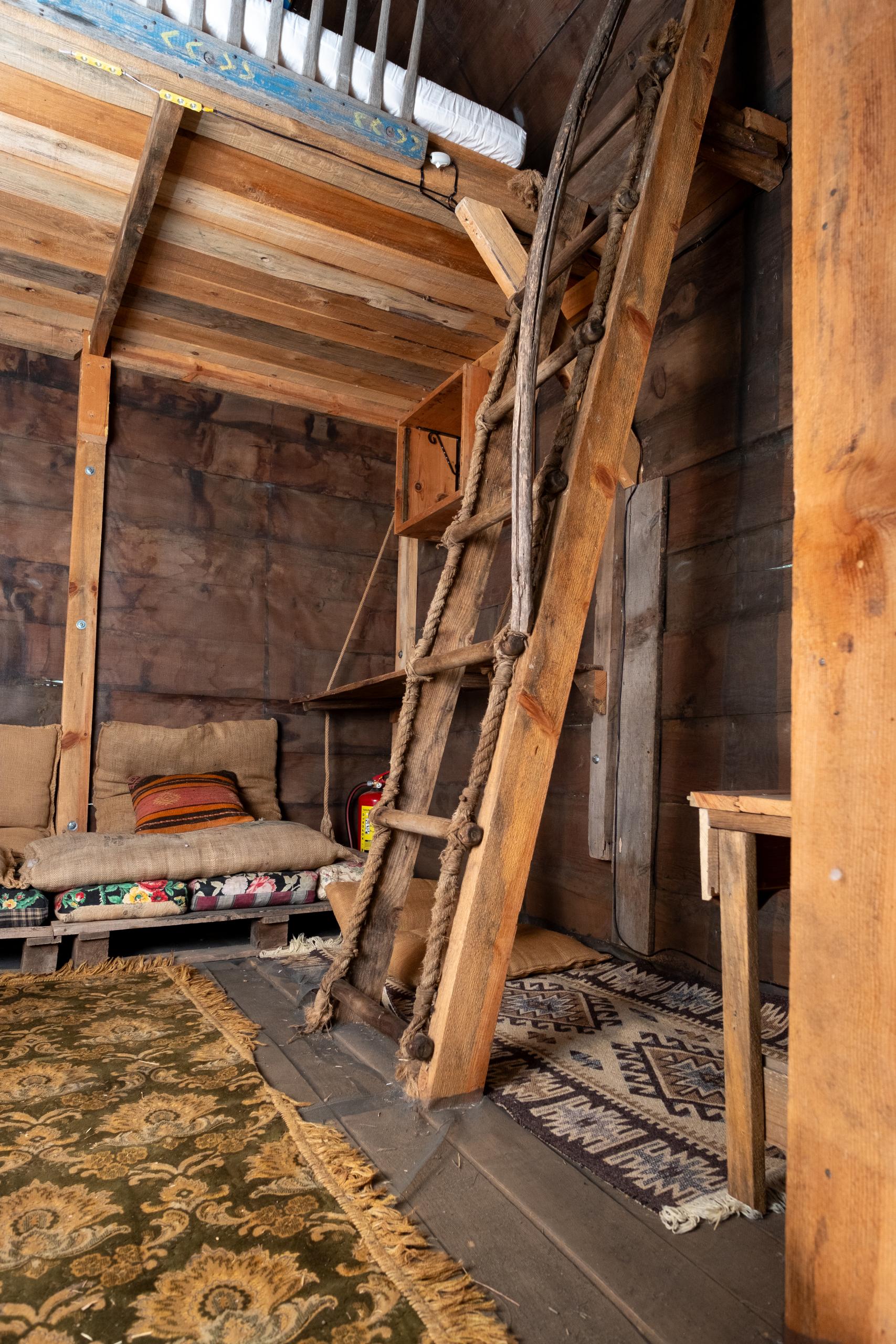 ORMANKABİNBUNGALOVLLUMDSCF4606