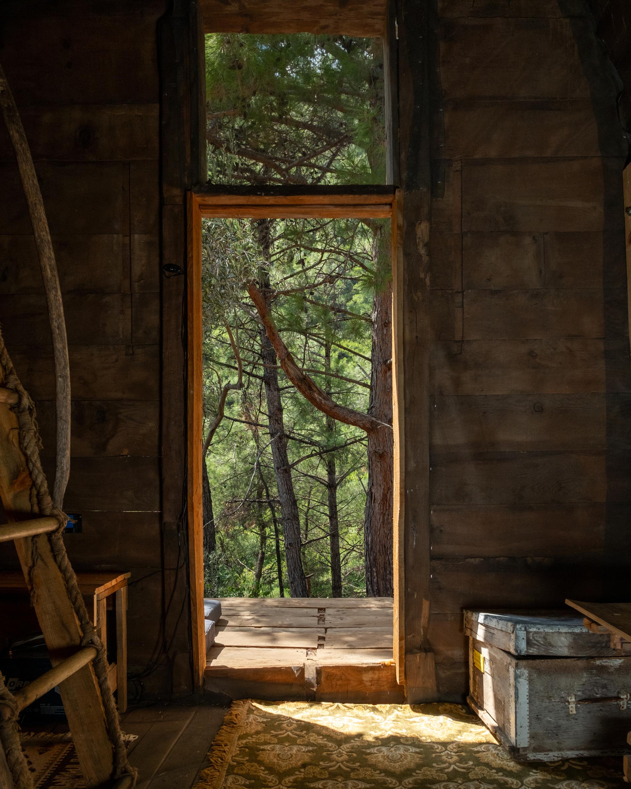 ORMANKABİNBUNGALOVLLUMDSCF4627