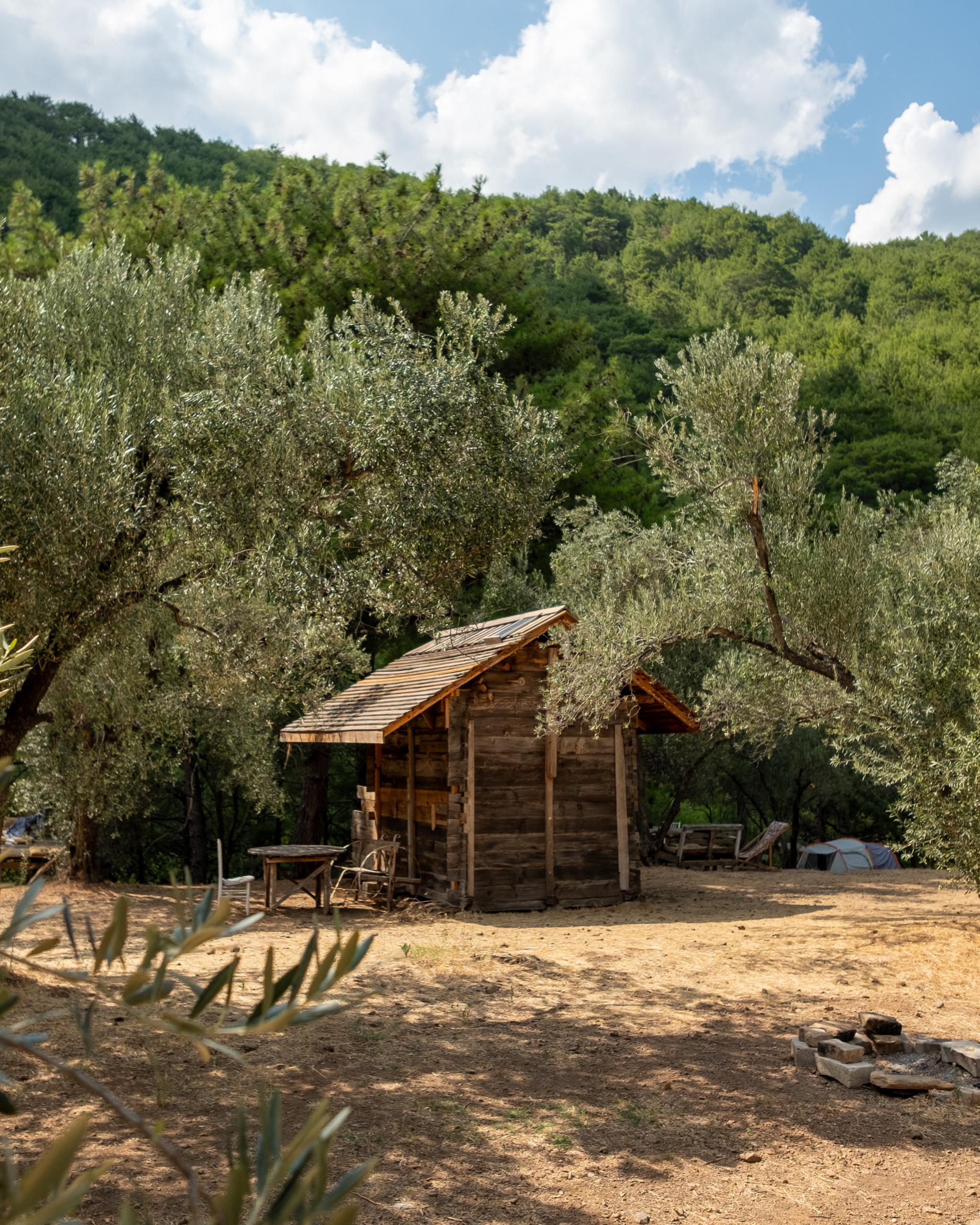 ORMANKABİNBUNGALOVLLUMDSCF4634